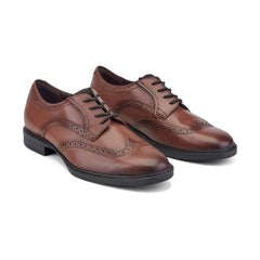 Rockport / Keegan Dress Wing Tip Lace-up Oxfords