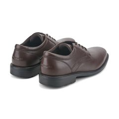 Rockport / Style Leader 2 Plain Toe Oxford