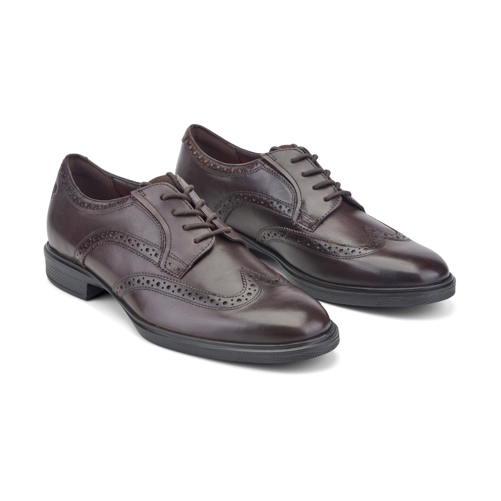 Rockport / Keegan Dress Wing Tip Lace-up Oxfords
