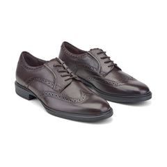 Rockport / Keegan Dress Wing Tip Lace-up Oxfords