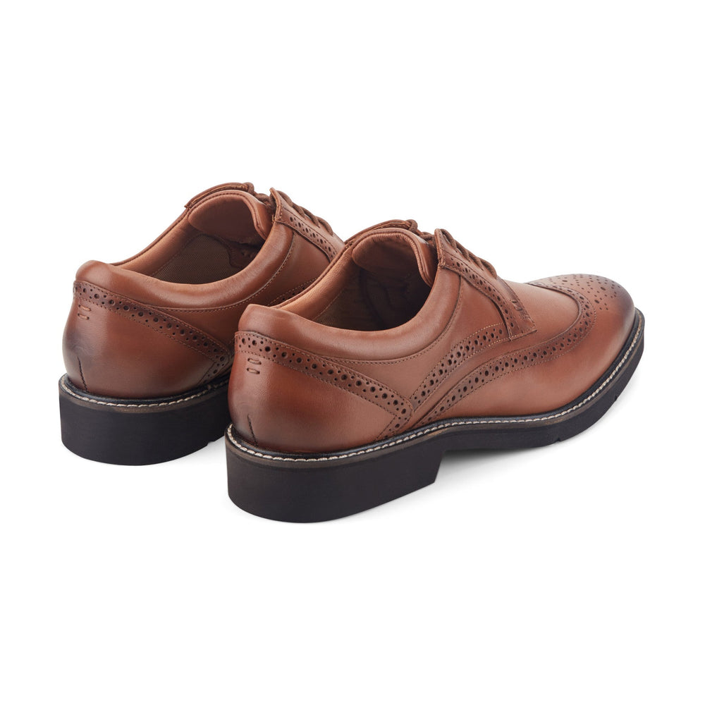 Rockport / Fallo Dress Lace-up Almond Toe Oxfords