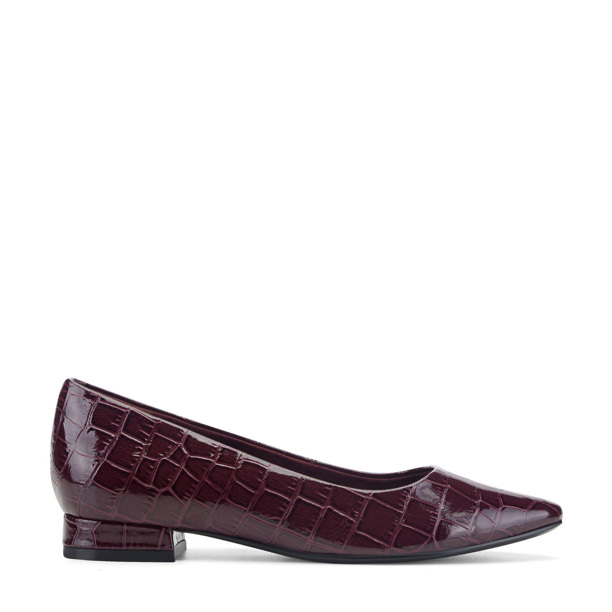 Rockport / Tessa Total Motion Pointy Toe Dress Flats