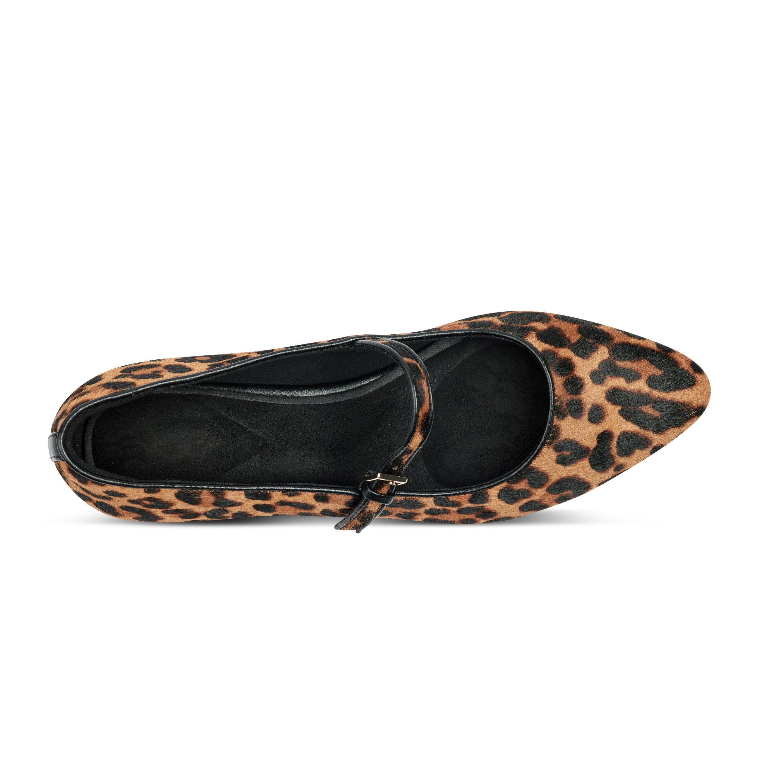 Rockport / Taren Total Motion Pointy Toe Dress Flats