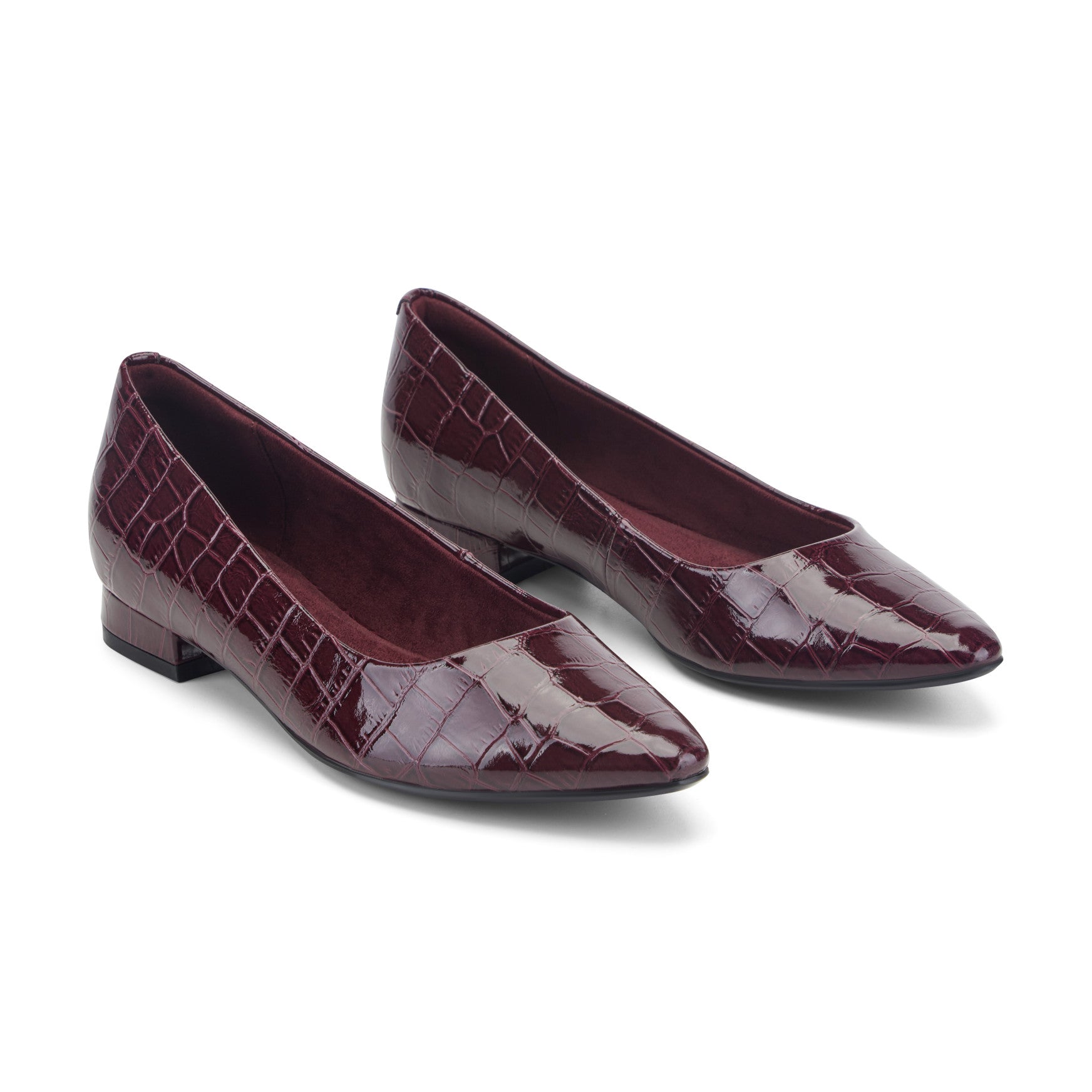 Rockport / Tessa Total Motion Pointy Toe Dress Flats