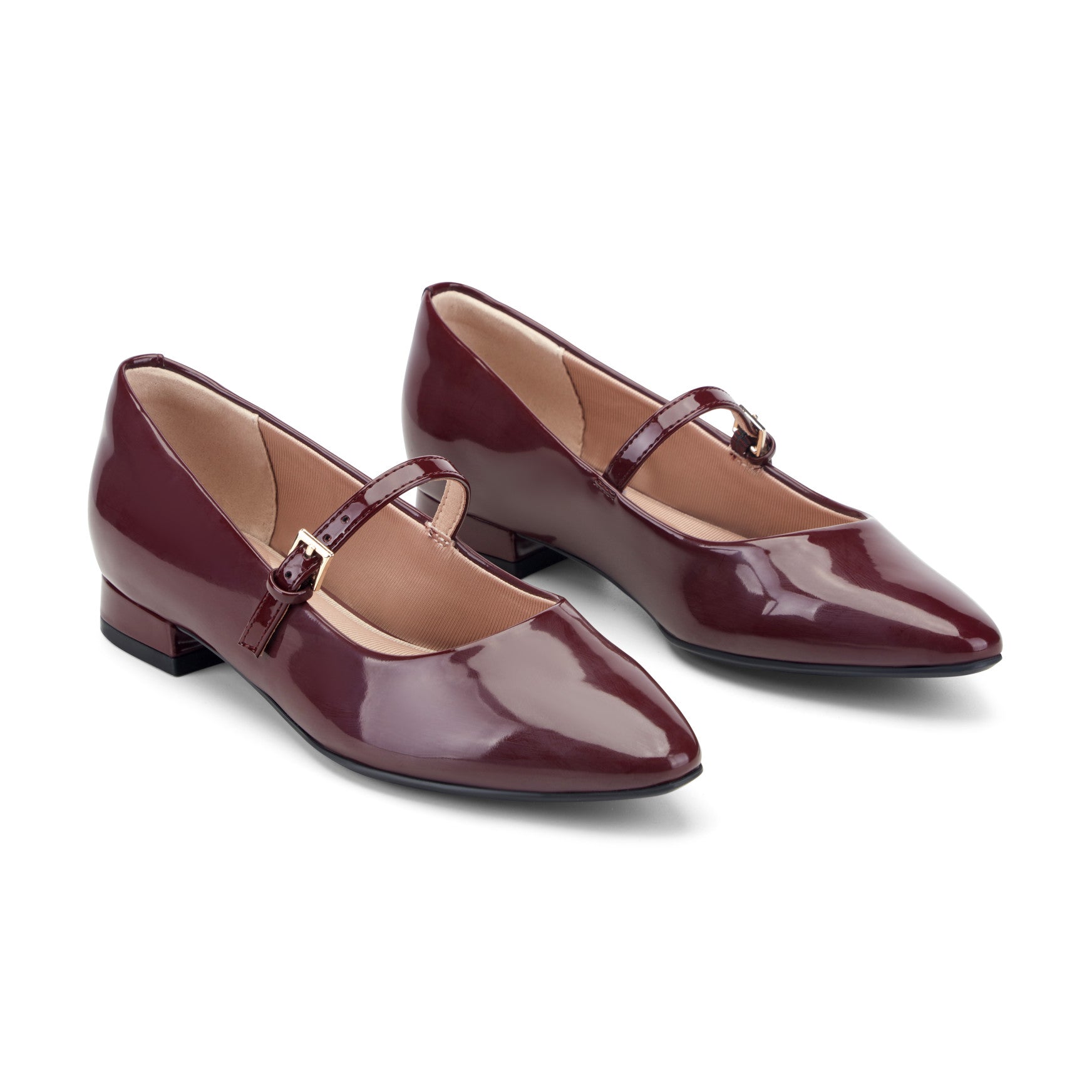 Rockport / Taren Total Motion Pointy Toe Dress Flats