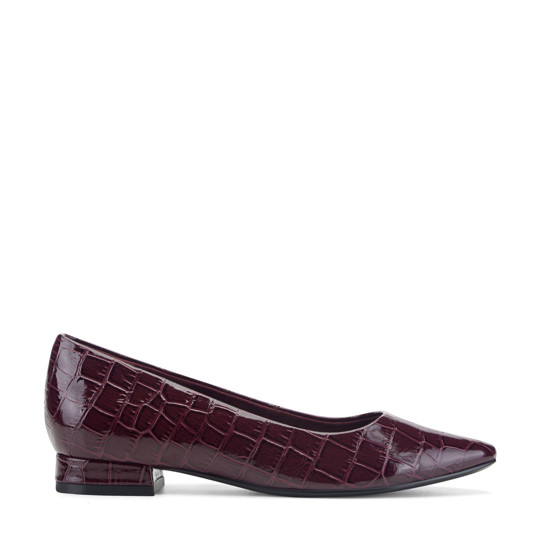Rockport / Tessa Total Motion Pointy Toe Dress Flats