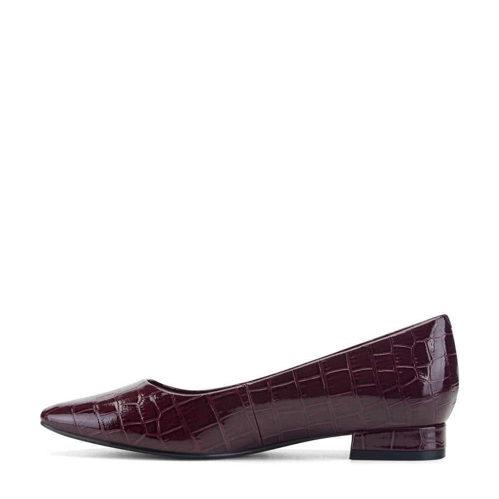 Rockport / Tessa Total Motion Pointy Toe Dress Flats